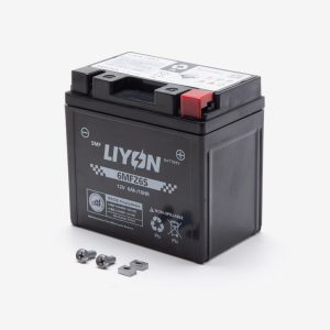 Battery 6MFZ6S for TR125-3-E5