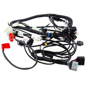 Wiring Loom for LJ125-9A, LJ125-9A-GT, SCMB125