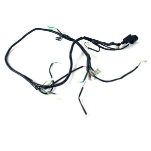 Wiring Loom for SB125T-21(B10)