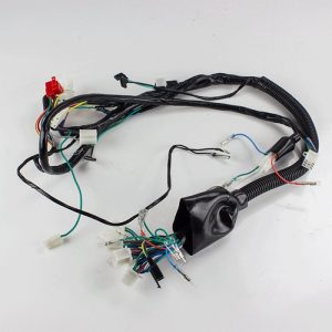 Wiring Loom for TD125-43