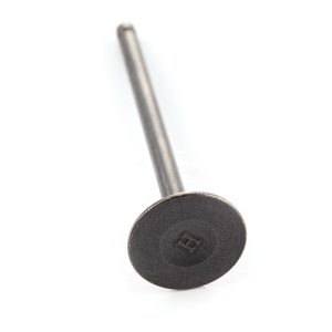 Exhaust Valve
